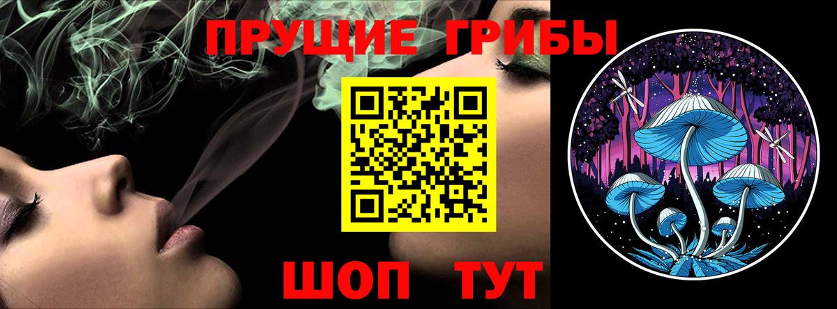 Туймазы  Галлюциногенные грибы прущие грибы  Вход с VPN 